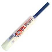 cricket bats manufacturers